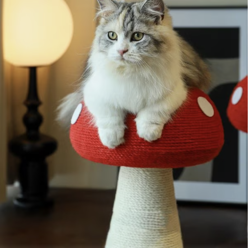 Fairela Pet Mushroom Spinning 20.9-in Hemp Cat Scratching Post, White/Red