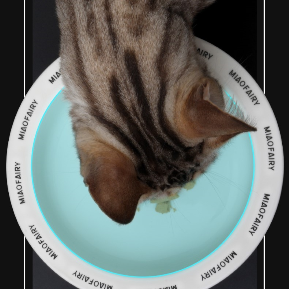 Fairela Pet MiaoFairy Roman Column Checkered Elevated Dog & Cat Bowl, Black/White, Medium: 4-cup