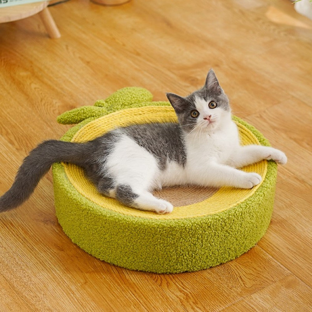 Fairela Pet Avocado Scratcher Cat Bed