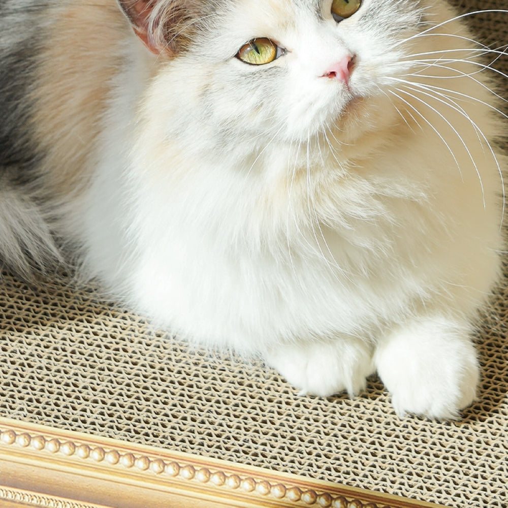 Fairela Pet 16.9-in Oil Painting Cat Scratcher, Blue