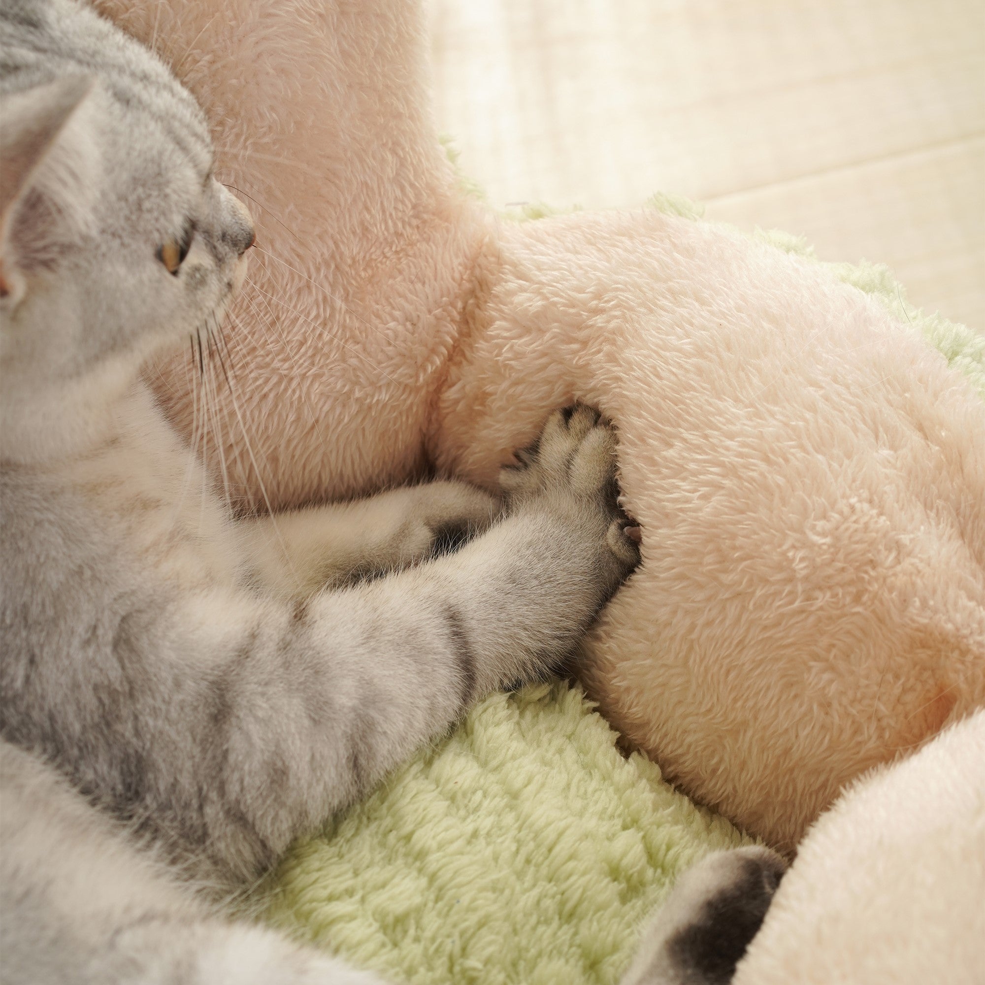 Fairela Pet Cactus Plush Dog & Cat Bed