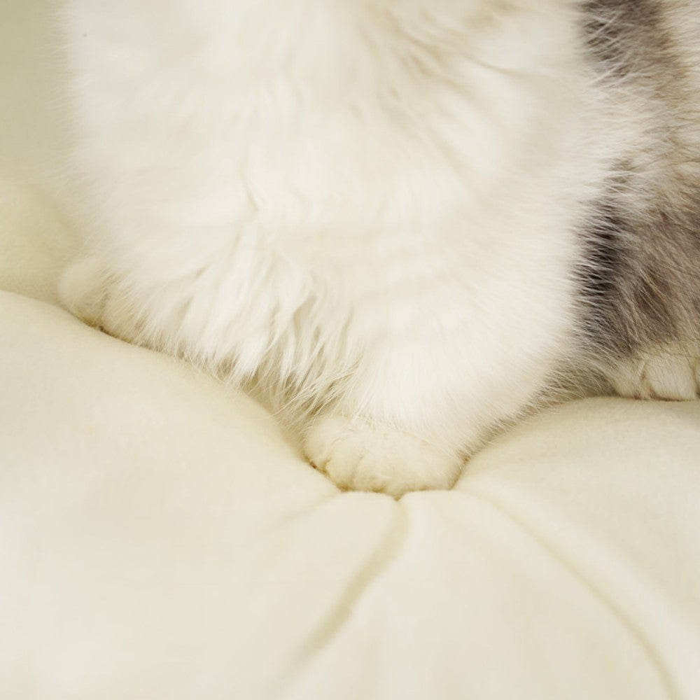 Fairela Pet Little Bear Fabric Furniture Style Sofa Dog & Cat Bed with Removable Cover, Brown/White, Medium