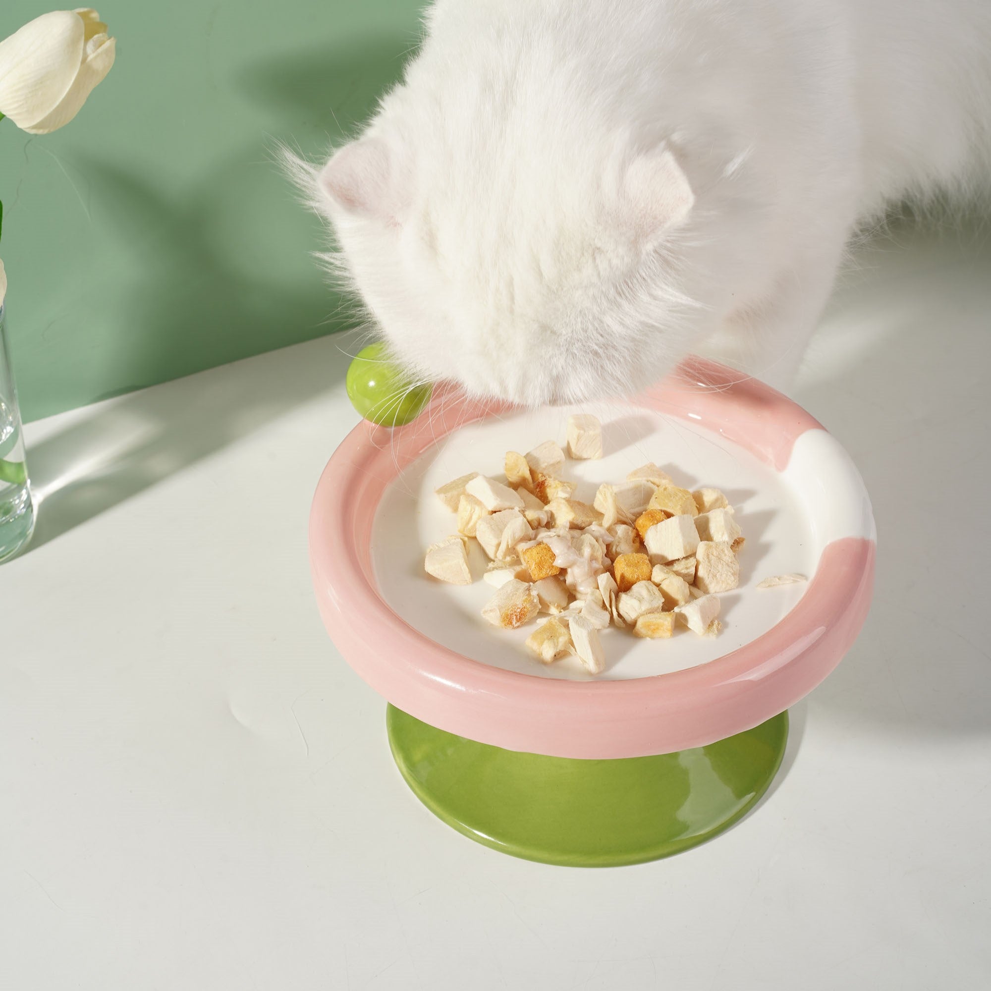 Fairela Pet Ice Cream Elevated Dog & Cat Bowl, Small: 2-cup
