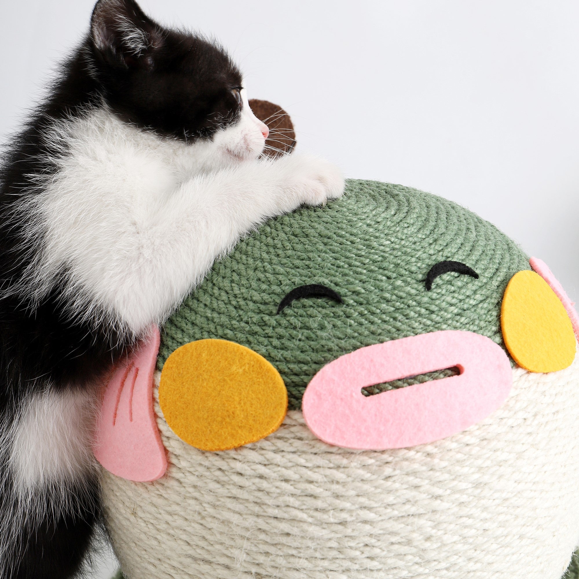 Fairela Pet Pufferfish Cat Ball Toy