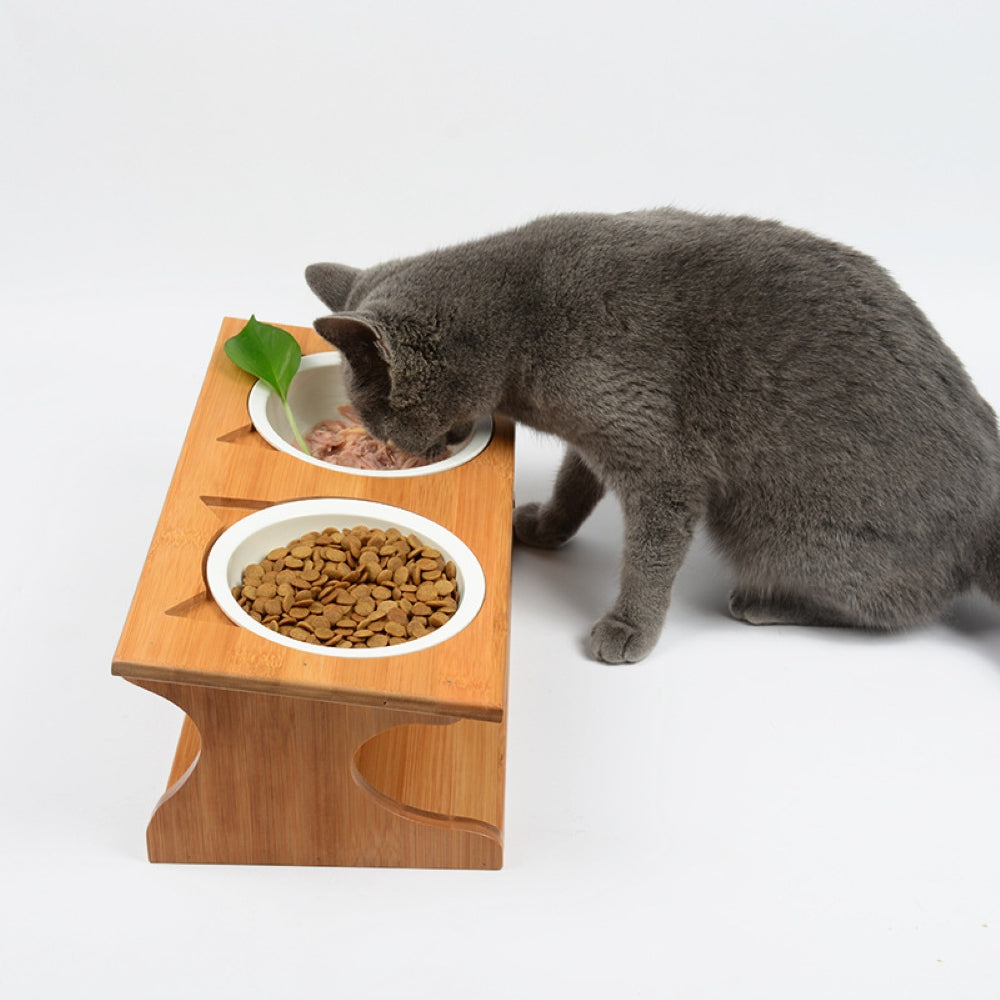 Are Elevated Pet Bowls Better for Cats and Dogs? What to Know Before You Buy