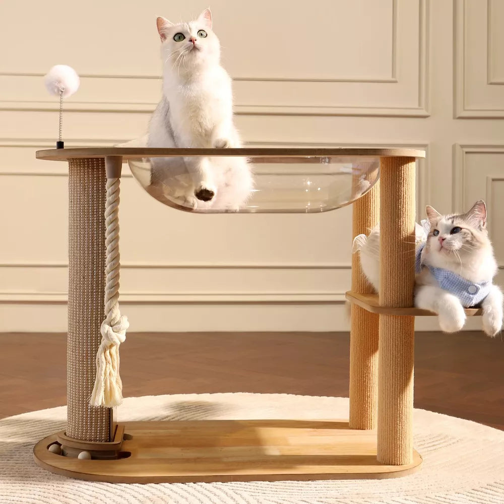 How to Choose the Right Cat Tree for a Small Apartment