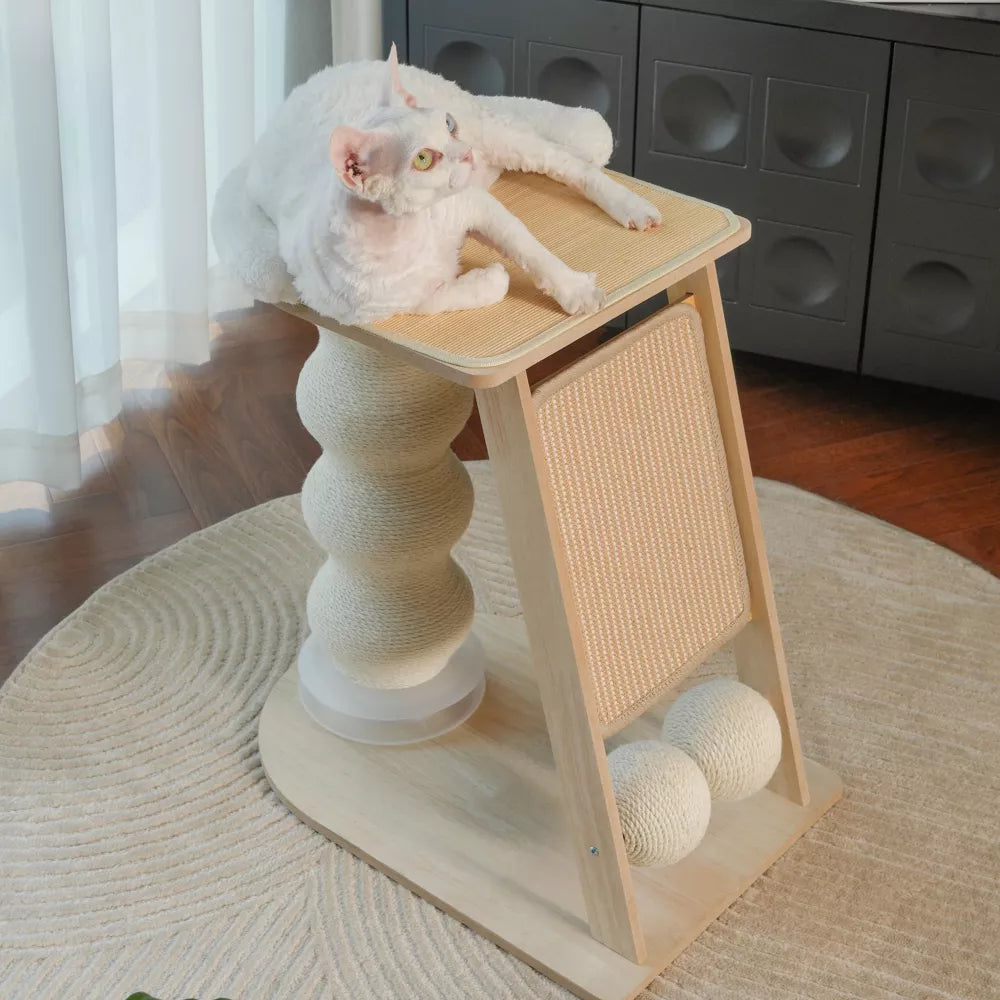 Why Every Indoor Cat Needs a Scratching Post (And How to Pick the Right One)