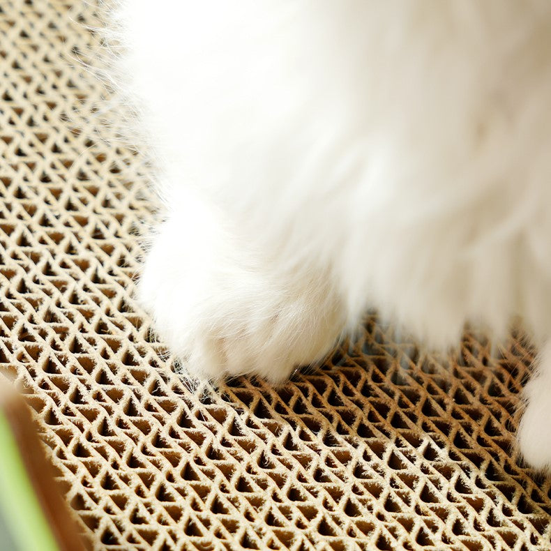 Fairela Pet 16.5-in Princess Carriage Cat Scratcher, Orange/Green