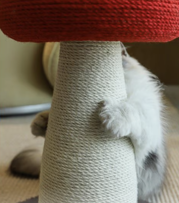 Fairela Pet Mushroom Spinning 20.9-in Hemp Cat Scratching Post, White/Red
