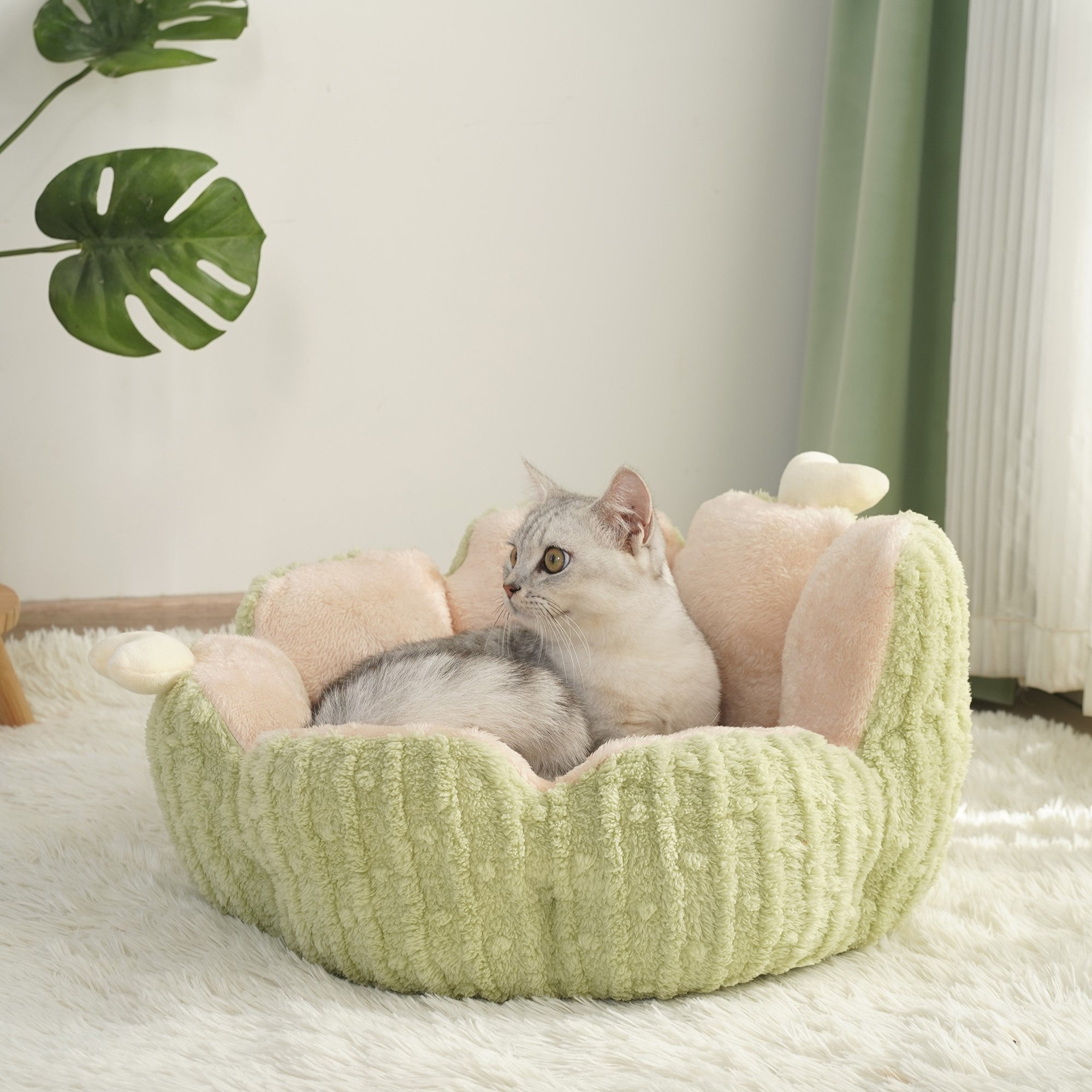 Fairela Pet Cactus Plush Dog & Cat Bed