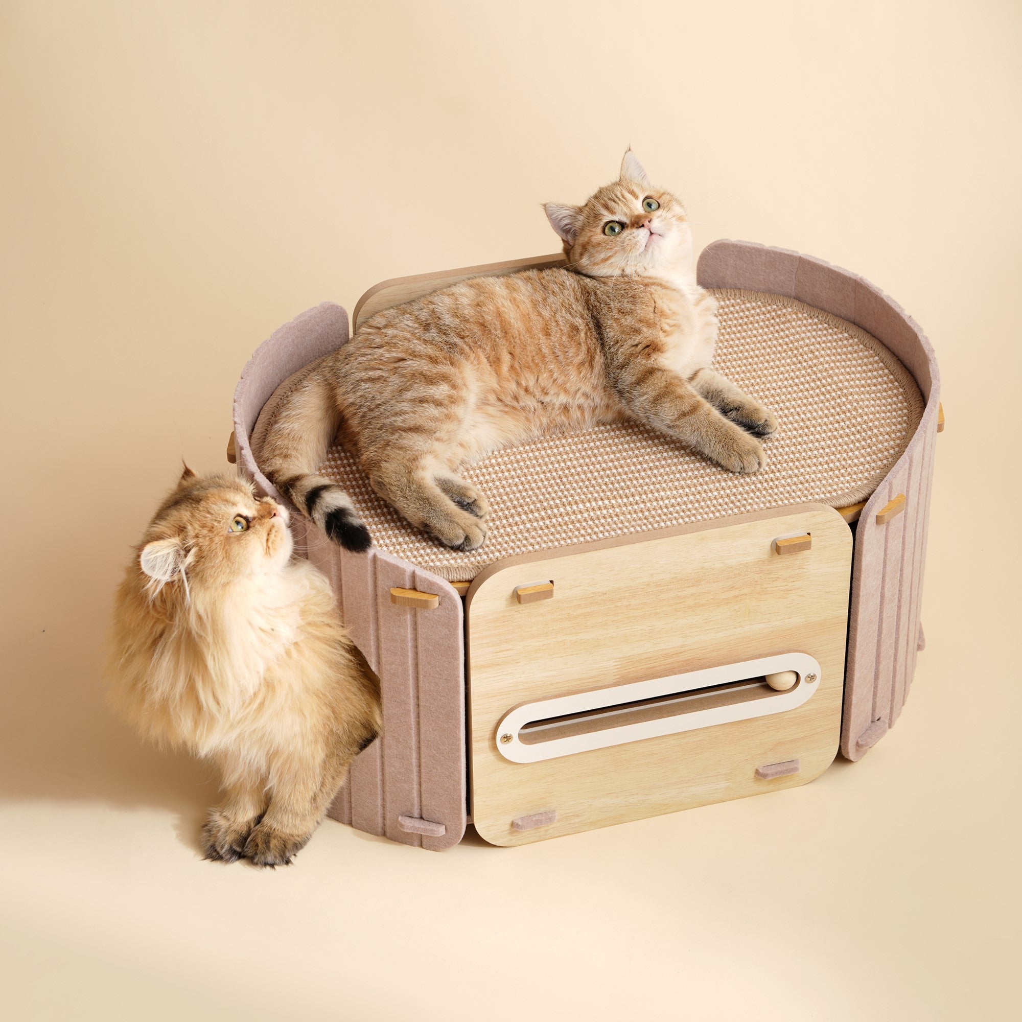 Fairela 2-in-1 Modern Wooden Cat Condo Bed, Enclosed Cat House with Scratching Top Platform, Beige