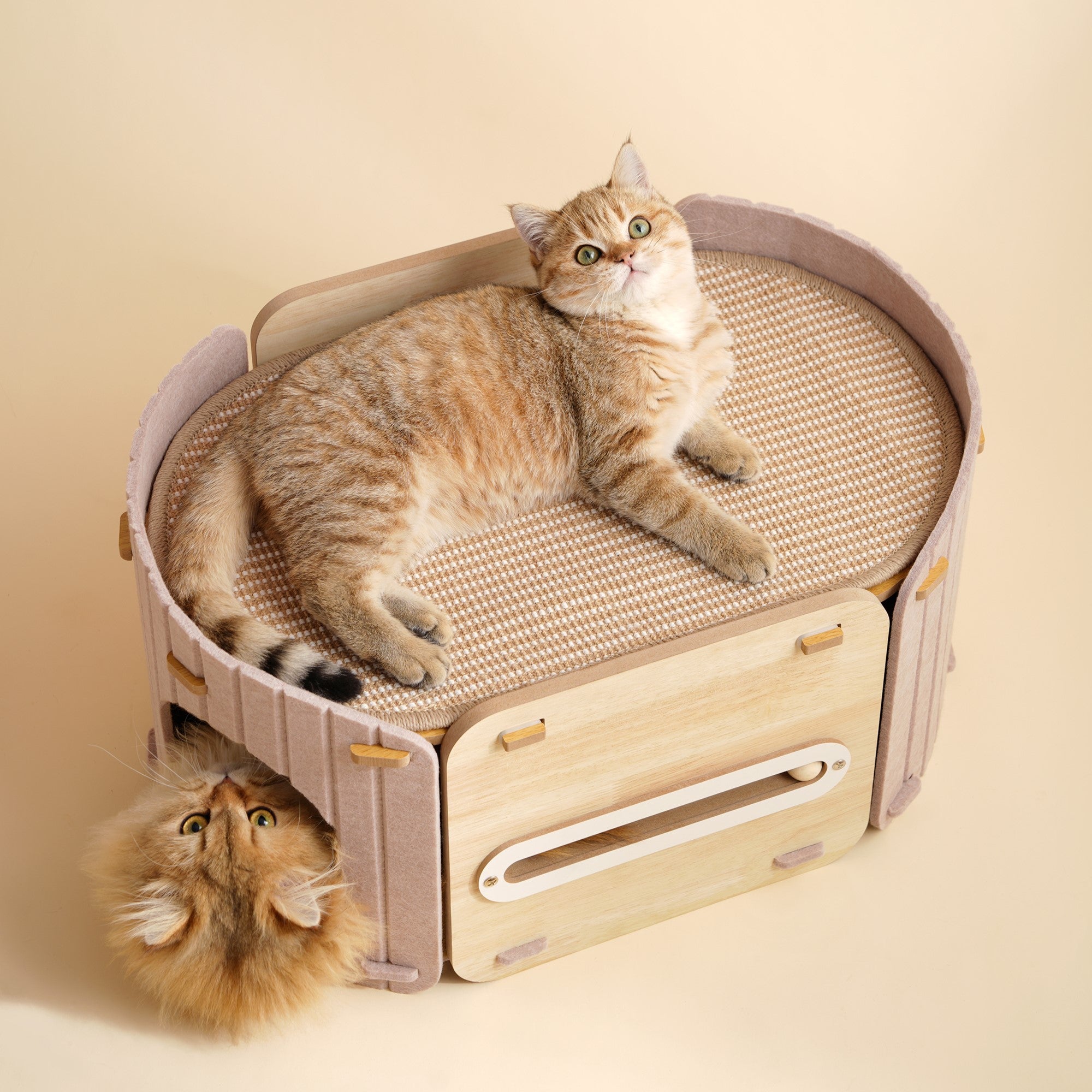 Fairela 2-in-1 Modern Wooden Cat Condo Bed, Enclosed Cat House with Scratching Top Platform, Beige