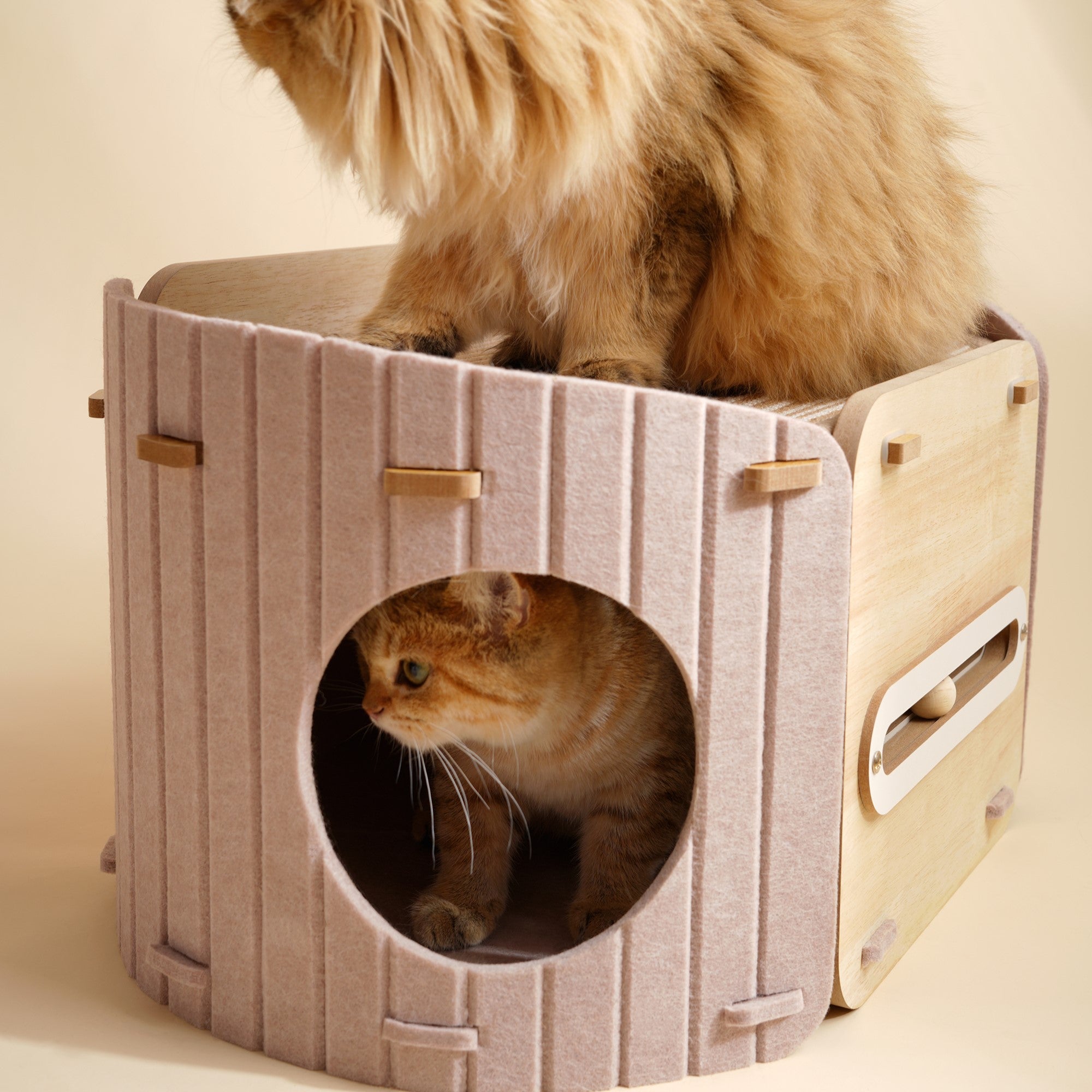 Fairela 2-in-1 Modern Wooden Cat Condo Bed, Enclosed Cat House with Scratching Top Platform, Beige