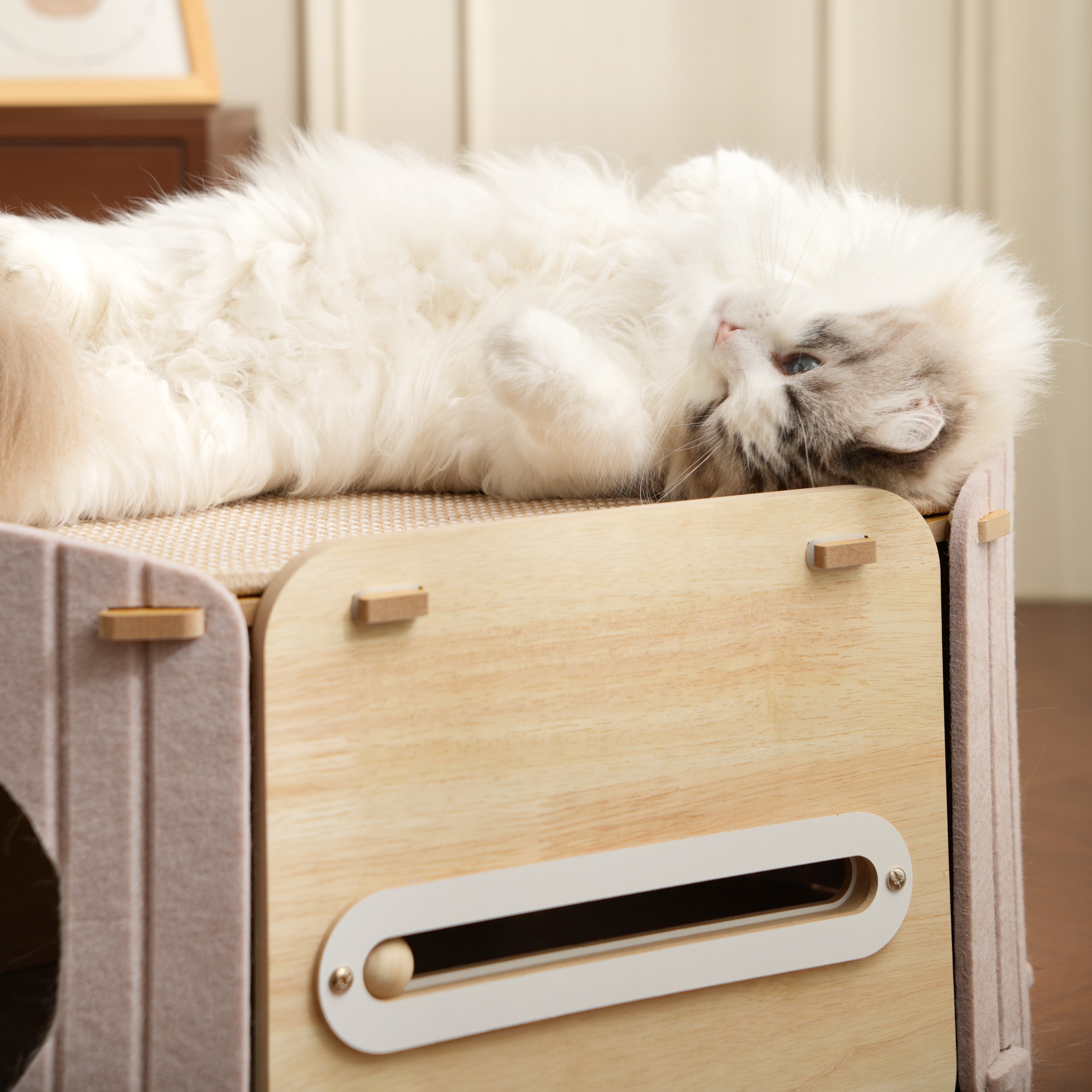 Fairela 2-in-1 Modern Wooden Cat Condo Bed, Enclosed Cat House with Scratching Top Platform, Beige