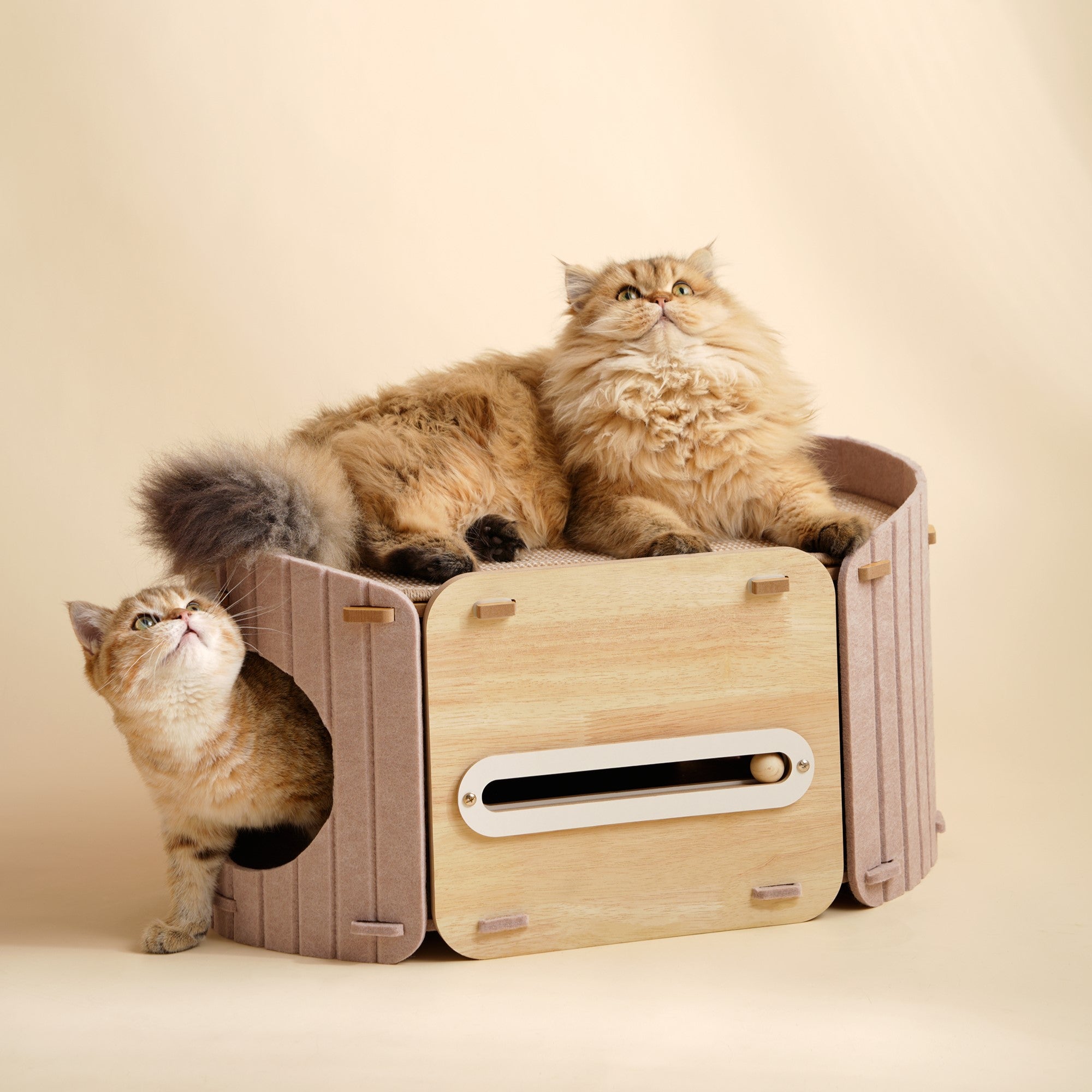 Fairela 2-in-1 Modern Wooden Cat Condo Bed, Enclosed Cat House with Scratching Top Platform, Beige