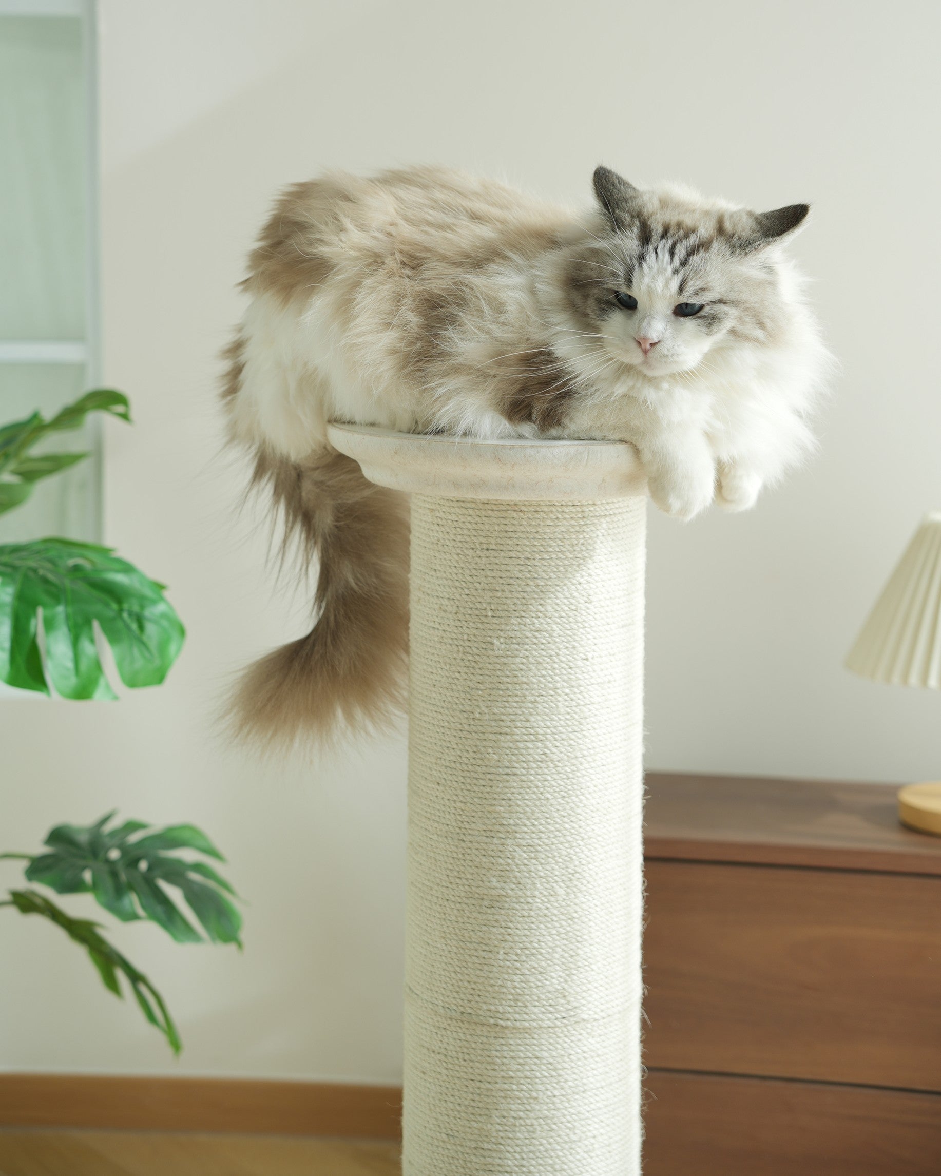 Fairela Extra Tall Sisal Cat Scratching Post, Stable Roman Column Cat Scratcher Tower for Large Indoor Cats, Furniture Protector & Full Body Stretch Perch