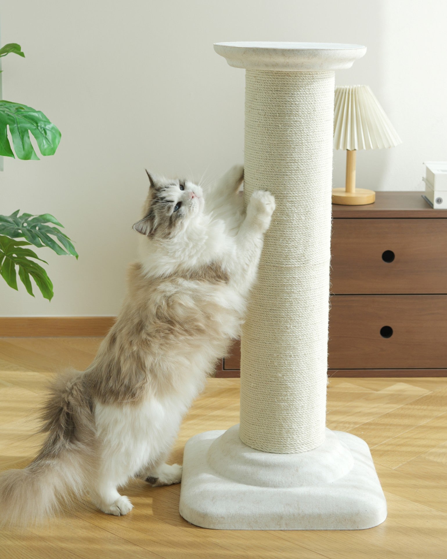 Fairela Extra Tall Sisal Cat Scratching Post, Stable Roman Column Cat Scratcher Tower for Large Indoor Cats, Furniture Protector & Full Body Stretch Perch