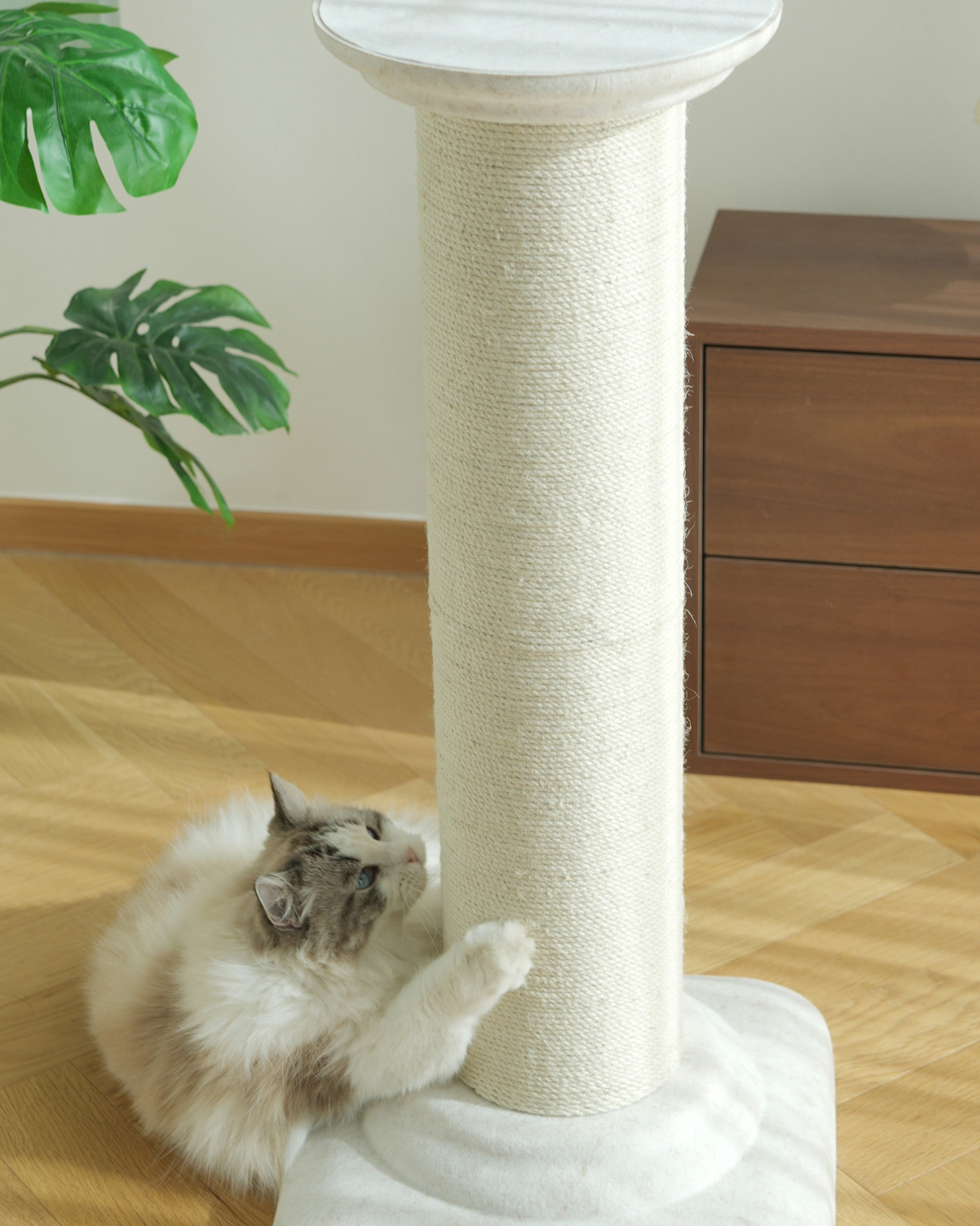 Fairela Extra Tall Sisal Cat Scratching Post, Stable Roman Column Cat Scratcher Tower for Large Indoor Cats, Furniture Protector & Full Body Stretch Perch