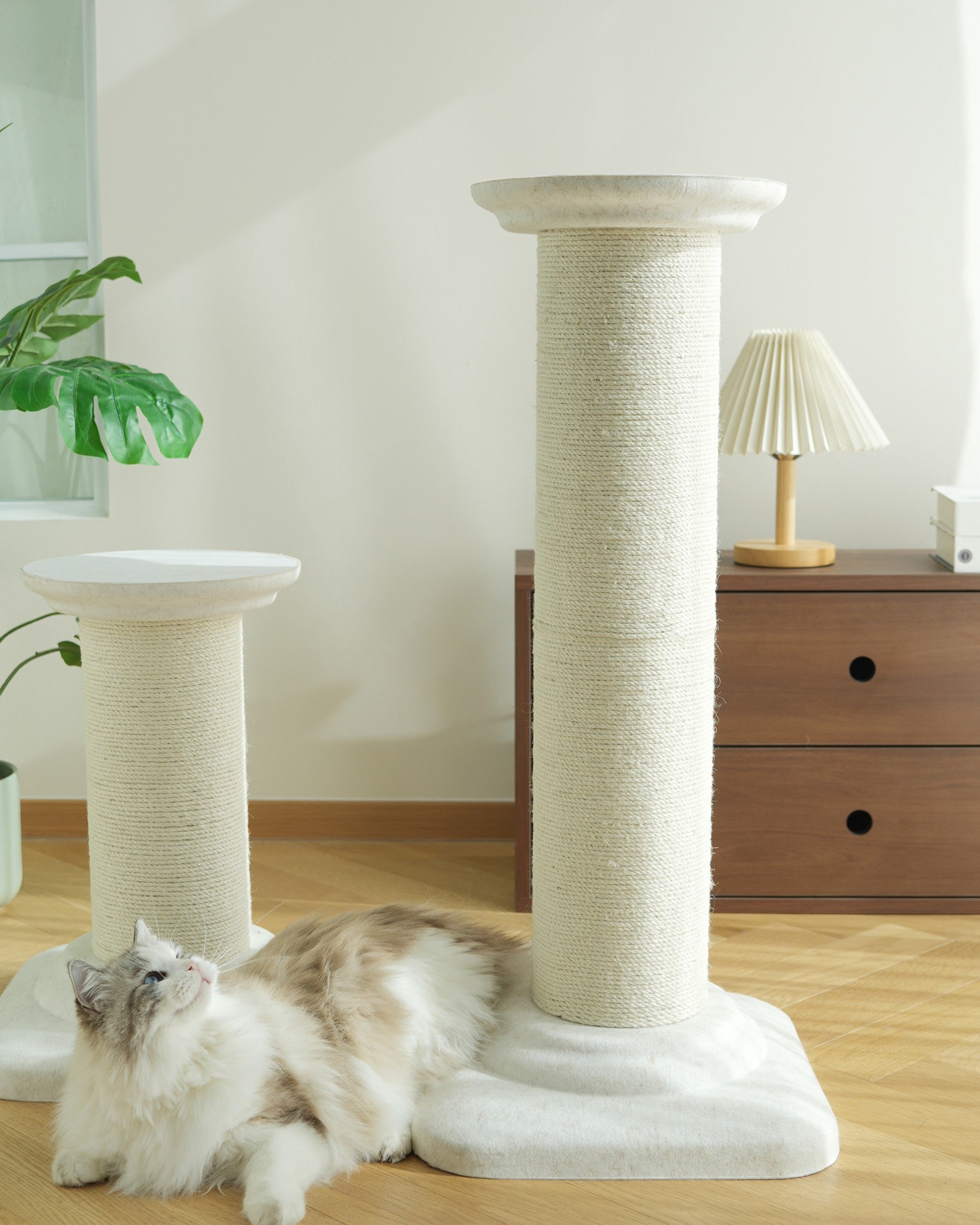 Fairela Extra Tall Sisal Cat Scratching Post, Stable Roman Column Cat Scratcher Tower for Large Indoor Cats, Furniture Protector & Full Body Stretch Perch