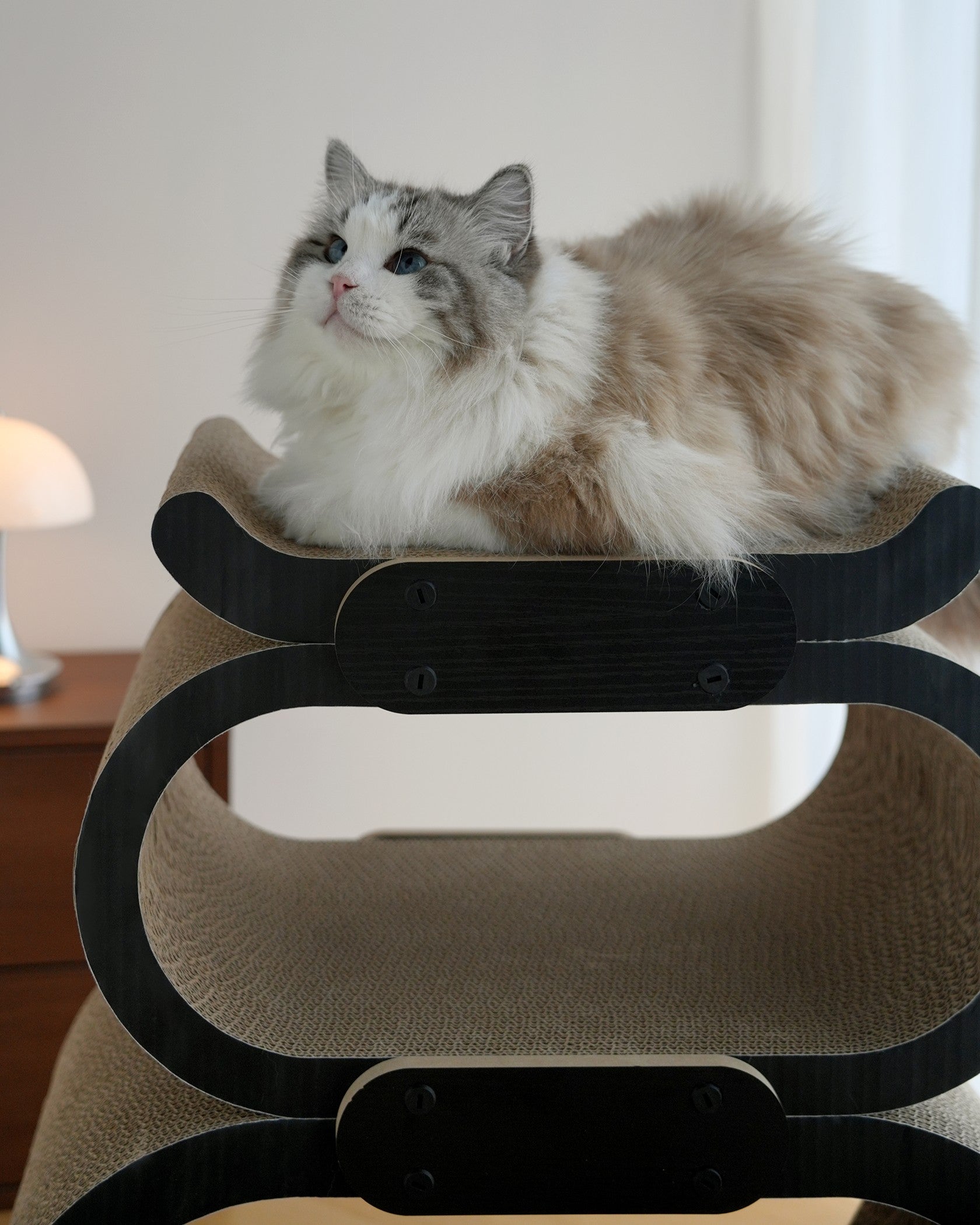 Fairela Multi-Level Modern Cat Scratcher Lounge, Cardboard Cat House Condo with Reversible Scratch Pads, Decorative Indoor Cat Furniture