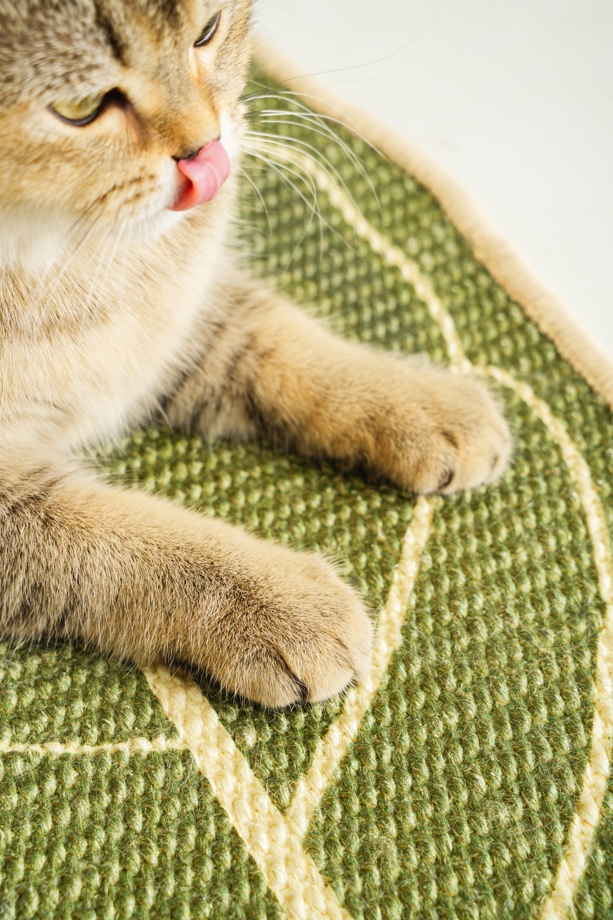 Fairela Leaf Shaped Natural Sisal Cat Scratching Mat, Non-Slip Decorative Cat Scratch Pad for Indoor Cats, Floor Protector & Lounging Mat