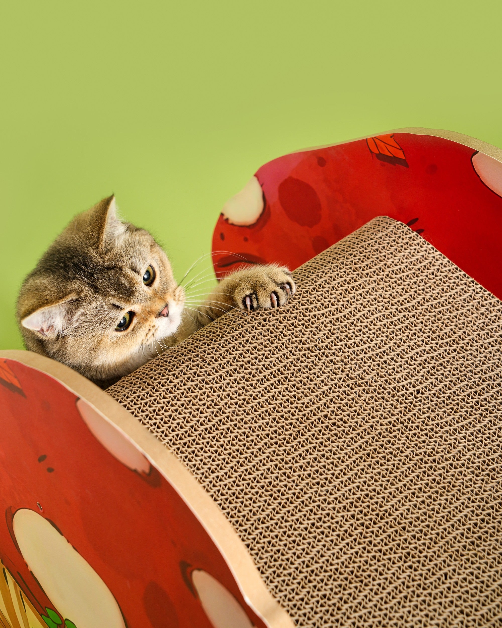 Fairela Alice Mushroom Cat Scratcher House, Multi-Level Cardboard Cat Condo with Scratch Pads, Interactive Cat Hideaway Playhouse for Indoor Cats
