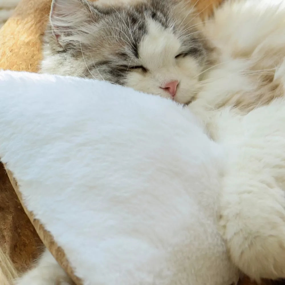 Fairela Anti-Fur Plush Cat Bed with Removable Cushions