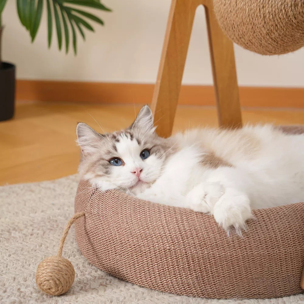 Fairela Modern Wooden Cat Lounge Bed with Hanging Sisal Ball, Beige, Large
