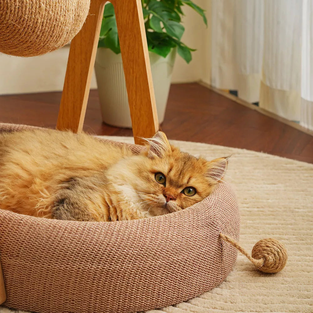 Fairela Modern Wooden Cat Lounge Bed with Hanging Sisal Ball, Beige, Large
