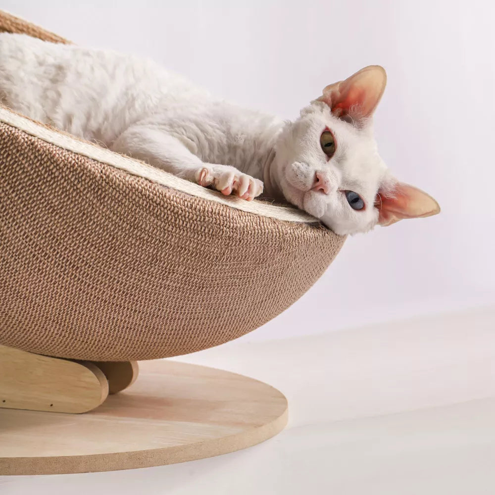 Fairela Jute Rope Cat Scratcher Bed for Lounging & Claw Care