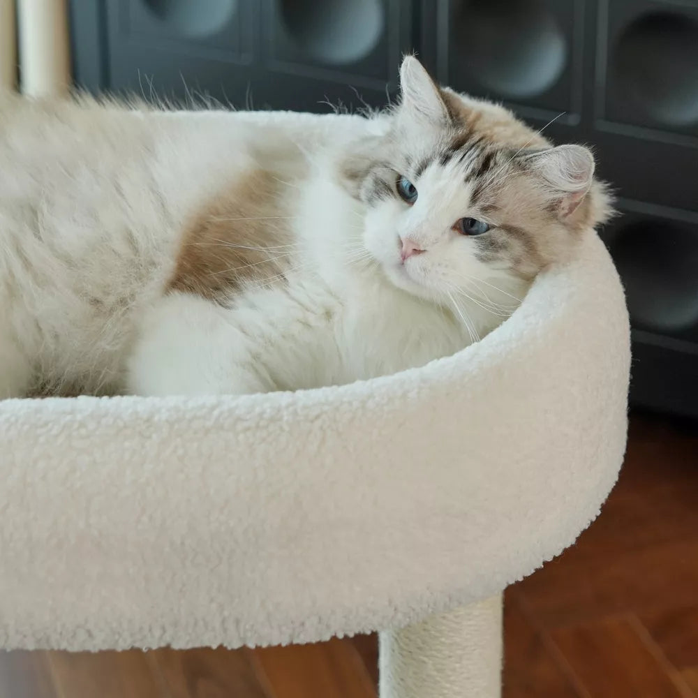 Fairela 24-in Fleece Cat Scratching Stand with Dual Posts & Ball Toy