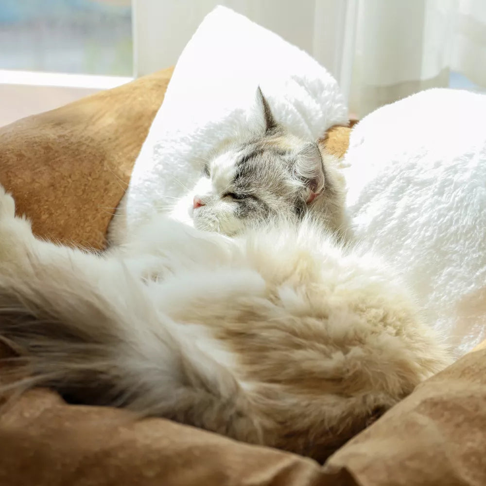 Fairela Anti-Fur Plush Cat Bed with Removable Cushions