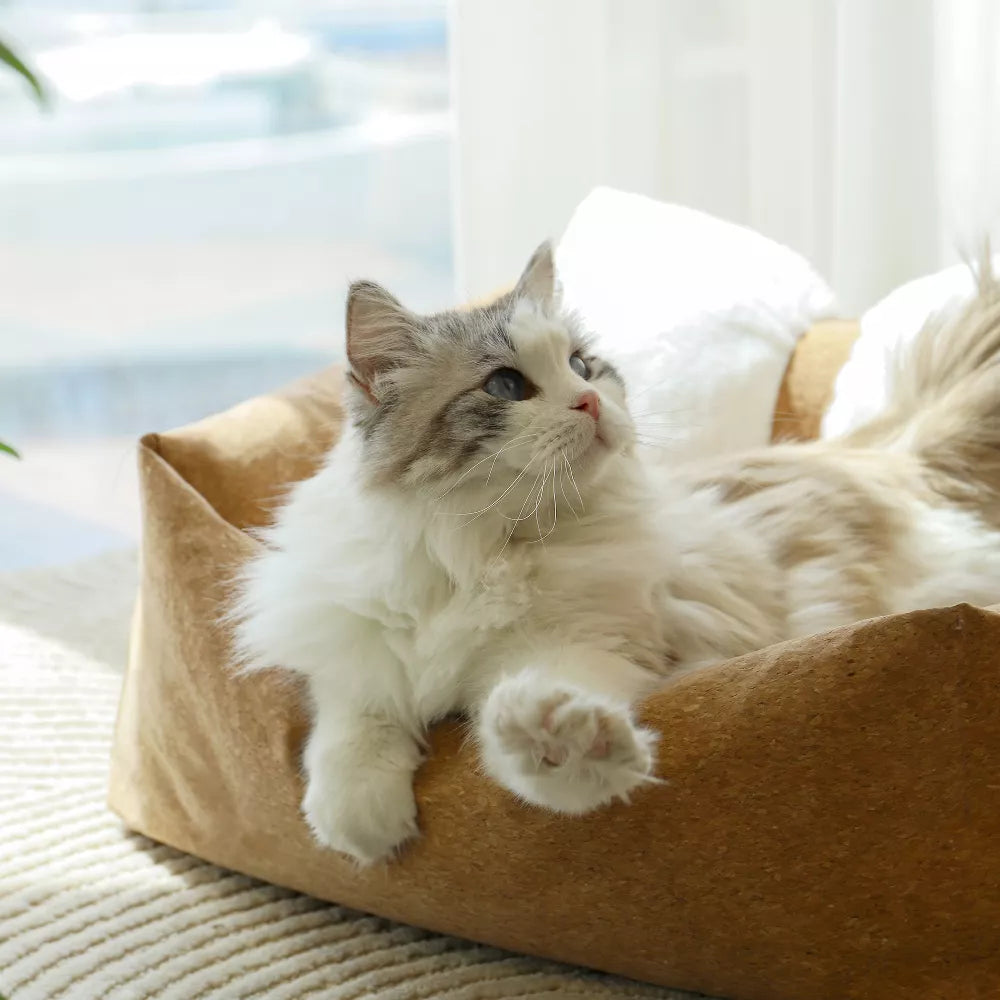 Fairela Anti-Fur Plush Cat Bed with Removable Cushions
