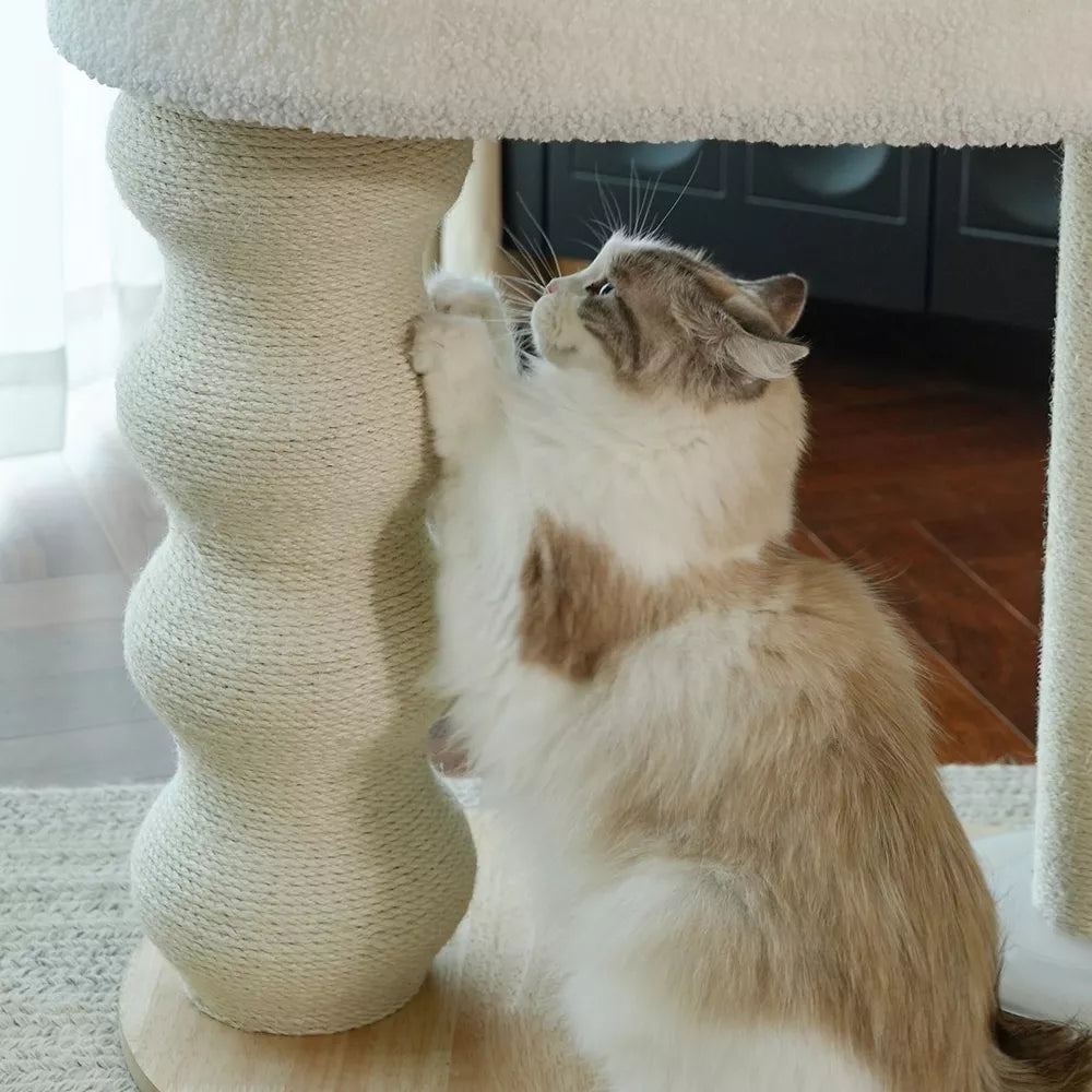 Fairela 24-in Fleece Cat Scratching Stand with Dual Posts & Ball Toy