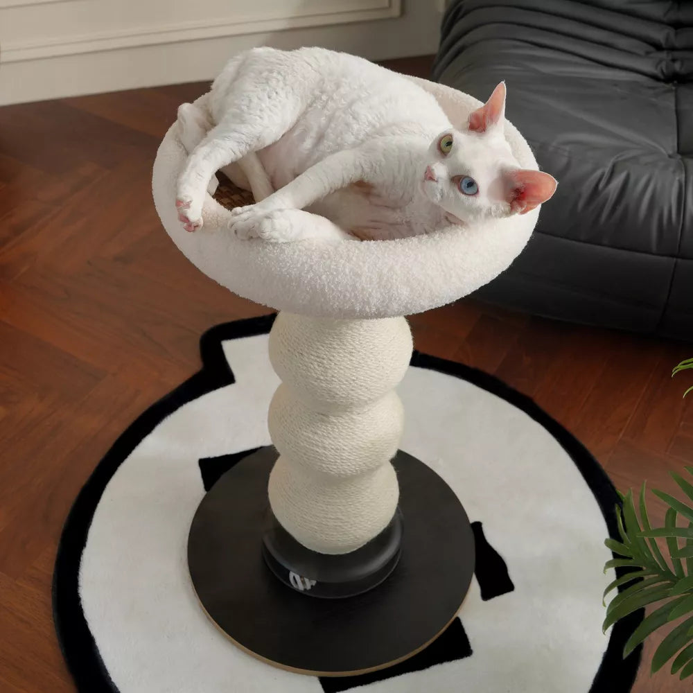 Fairela Tall 24-in Fleece Cat Scratching Post with Padded Perch Bed