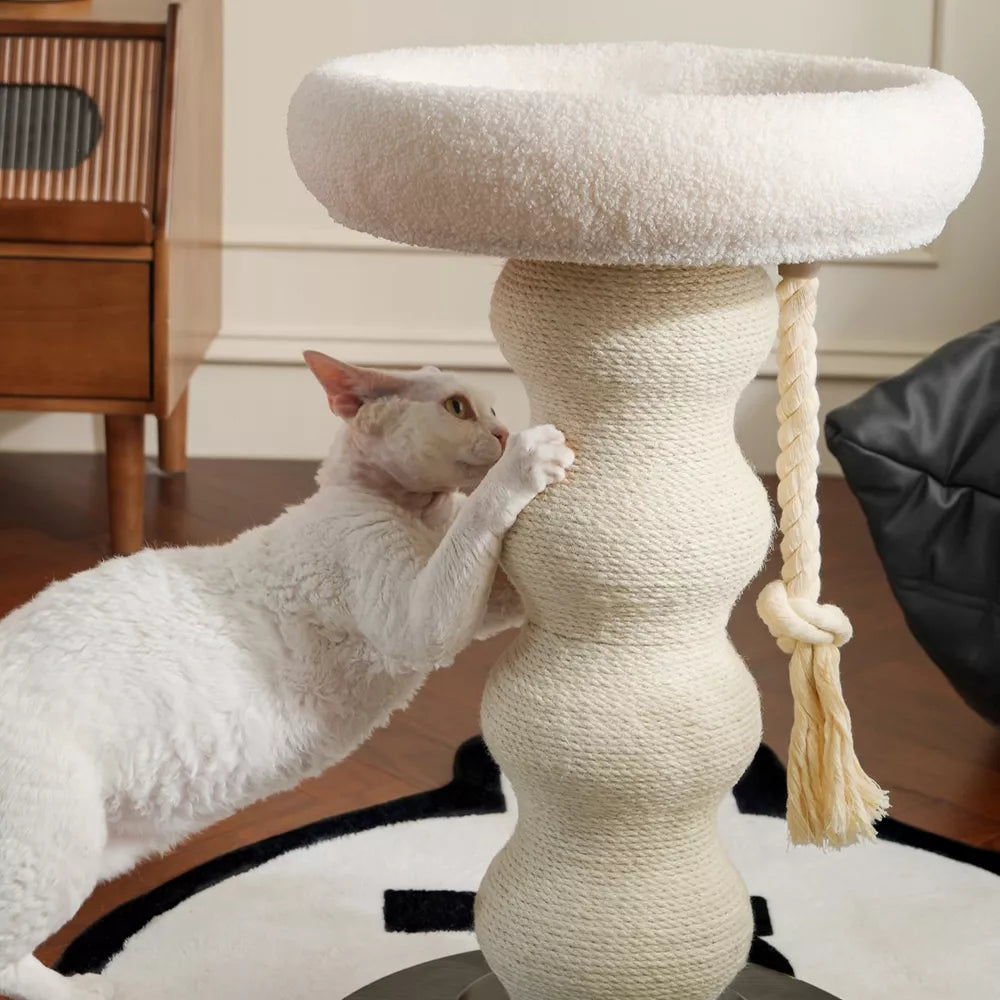 Fairela Tall 24-in Fleece Cat Scratching Post with Padded Perch Bed