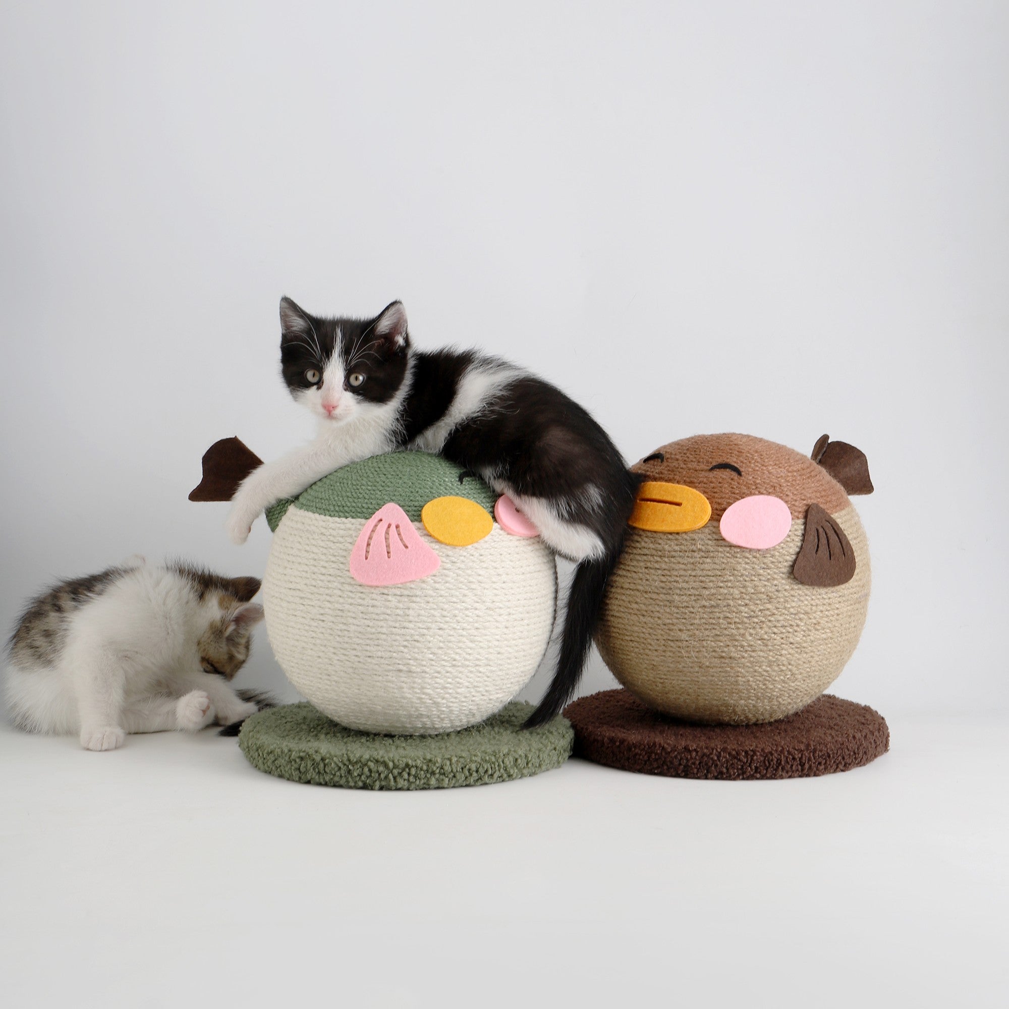 Fairela Pet Pufferfish Cat Ball Toy，Brown